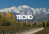 Desembarca en Mendoza la segunda edición de “Tinto por Techo”