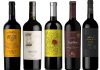 Cinco vinos malbec para celebrar el Día de la Independencia