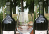 Buenos Aires: Finca Las Antípodas lanza al mercado el primer vino elaborado 100% con uvas de Junín