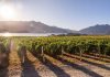 Abren la inscripción para los Best Of Mendoza’s Wine Tourism 2021