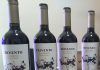 “Gaudeo”, el póker de malbec del Valle de Uco de Trivento