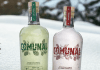 Cervecería Patagonia lanza su gin “Comunal”