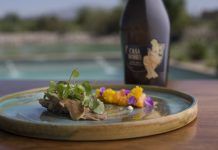 Wine Enthusiast puso a Mendoza entre los grandes destinos enoturísticos del mundo con cinco restaurantes de bodegas destacados