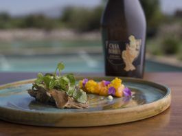 Wine Enthusiast puso a Mendoza entre los grandes destinos enoturísticos del mundo con cinco restaurantes de bodegas destacados