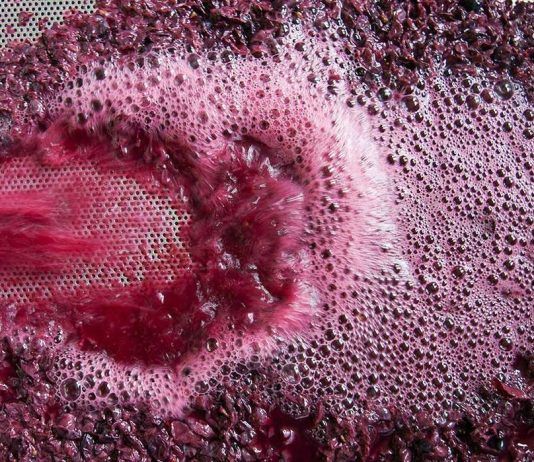San Martín declaró de Interés Municipal la Vinexpo Explorer Mendoza dedicado al vino a granel