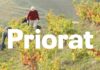 Priorat, la película de los pioneros que hicieron el vino “imposible”