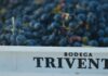 Trivento presenta una serie de cortos que muestran la pasión por el Malbec Argentino