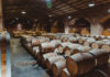 Todo lo que tenés que saber de los vinos y sus tipos de guarda