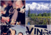 Expo Vinos & Negocios reunirá a más de 400 etiquetas de Vinos & Spirits, en Mendoza