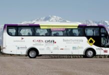 Guía para recorrer los Caminos del Vino de Mendoza en 2026: cómo funciona Bus Vitivinícola