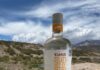 Exito mundial para un gin mendocino