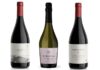 En el Día del Pinot Noir, tres vinos de la Patagonia extrema que no podés dejar de probar