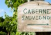 En el día del Cabernet Sauvignon, recomendados del Sur mendocino y de Salta