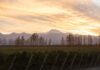 Mendoza tiene una nueva Indicación Geográfica (IG) del vino