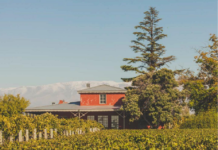 Alegre Viognier: primer vino blanco de Monte Quieto