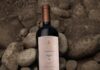 Salentein Single Vineyard La Pampa ´97 Malbec 2019, premiado en el Reino Unido