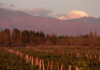 Bodega Viñalba logró la certificación de sustentabilidad de Bodegas de Argentina para sus fincas de Valle de Uco