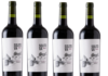 Solito Va Wines:  tres estilos de vinos que rinden un homenaje al Valle de Uco y a los ancestros