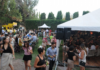 Unas mil personas disfrutaron de Dionisias Wine Fair en el Museo Fader