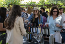 Llega la VII edición de FERIA DE TERRUÑOS, de Karim Mussi Winemaker