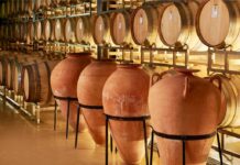 Karas llega a la Argentina: los vinos nacidos en la cuna del vino desembarcan en el mercado local