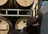Comenzó el Natinga Tour en Mendoza: los perros detectores de contaminantes recorren bodegas icónicas de la provincia