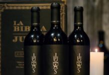 Judas Malbec, el vino de culto de bodega Sottano, celebra sus veinte años de historia con novedades y más vigente que nunca