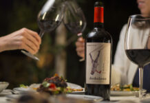 Finde XL de marzo: las propuestas de turismo y gastronomía de Bodega Kaiken