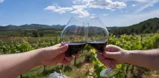Mendoza se quedó con el “Mundial del Vino” de Wine Spectator