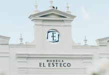 A partir de dos terruños excepcionales llega un nuevo Pinot Noir de los Valles Calchaquíes