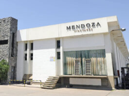 Mendoza Vineyards obtiene las certificaciones internacionales