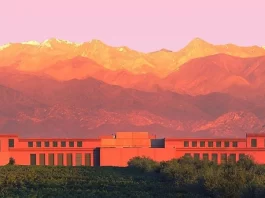 Rutini suma un nuevo varietal a su línea Apartado y le da una nueva identidad