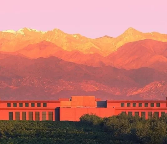 Rutini suma un nuevo varietal a su línea Apartado y le da una nueva identidad