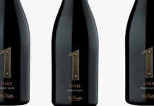 UNO Pinot Noir, nueva expresión de altura, vibrancia y carácter