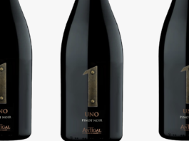 UNO Pinot Noir, nueva expresión de altura, vibrancia y carácter