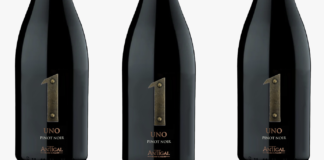 UNO Pinot Noir, nueva expresión de altura, vibrancia y carácter