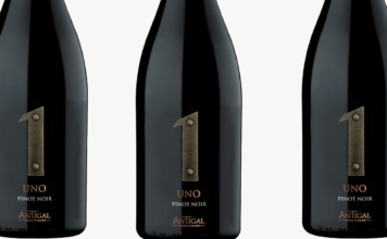 UNO Pinot Noir, nueva expresión de altura, vibrancia y carácter