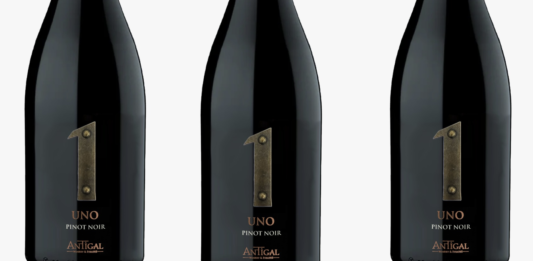 UNO Pinot Noir, nueva expresión de altura, vibrancia y carácter