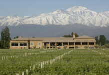 Bodega Vistalba invita a disfrutar el invierno con experiencias de vino, gastronomía y naturaleza