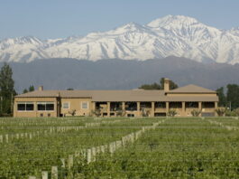 Bodega Vistalba invita a disfrutar el invierno con experiencias de vino, gastronomía y naturaleza