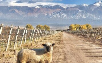 El Camino del Agua: la nueva experiencia de invierno de Chakana