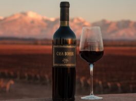Rosell Boher presenta su nuevo Casa Boher Gran Malbec 2018, el vino del viñedo “exacto”