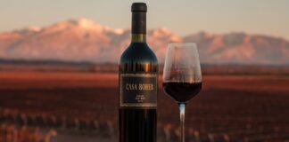 Rosell Boher presenta su nuevo Casa Boher Gran Malbec 2018, el vino del viñedo “exacto”