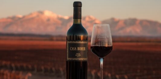 Rosell Boher presenta su nuevo Casa Boher Gran Malbec 2018, el vino del viñedo “exacto”