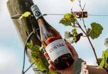 El Albariño de Trapiche Costa & Pampa: El pulso oceánico que consagró a Chapadmalal en la cima de la viticultura extrema
