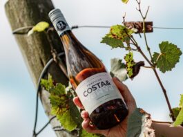El Albariño de Trapiche Costa & Pampa: El pulso oceánico que consagró a Chapadmalal en la cima de la viticultura extrema