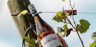 El Albariño de Trapiche Costa & Pampa: El pulso oceánico que consagró a Chapadmalal en la cima de la viticultura extrema