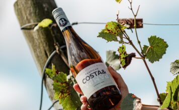 El Albariño de Trapiche Costa & Pampa: El pulso oceánico que consagró a Chapadmalal en la cima de la viticultura extrema