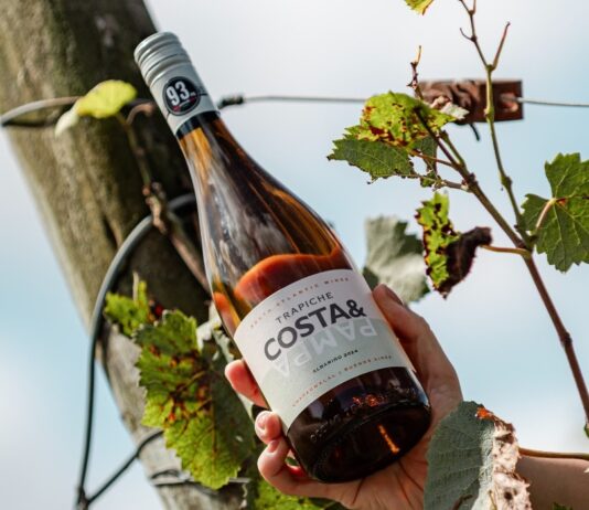 El Albariño de Trapiche Costa & Pampa: El pulso oceánico que consagró a Chapadmalal en la cima de la viticultura extrema
