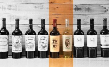 La escuela salesiana de Mendoza que produce vinos para todo el país